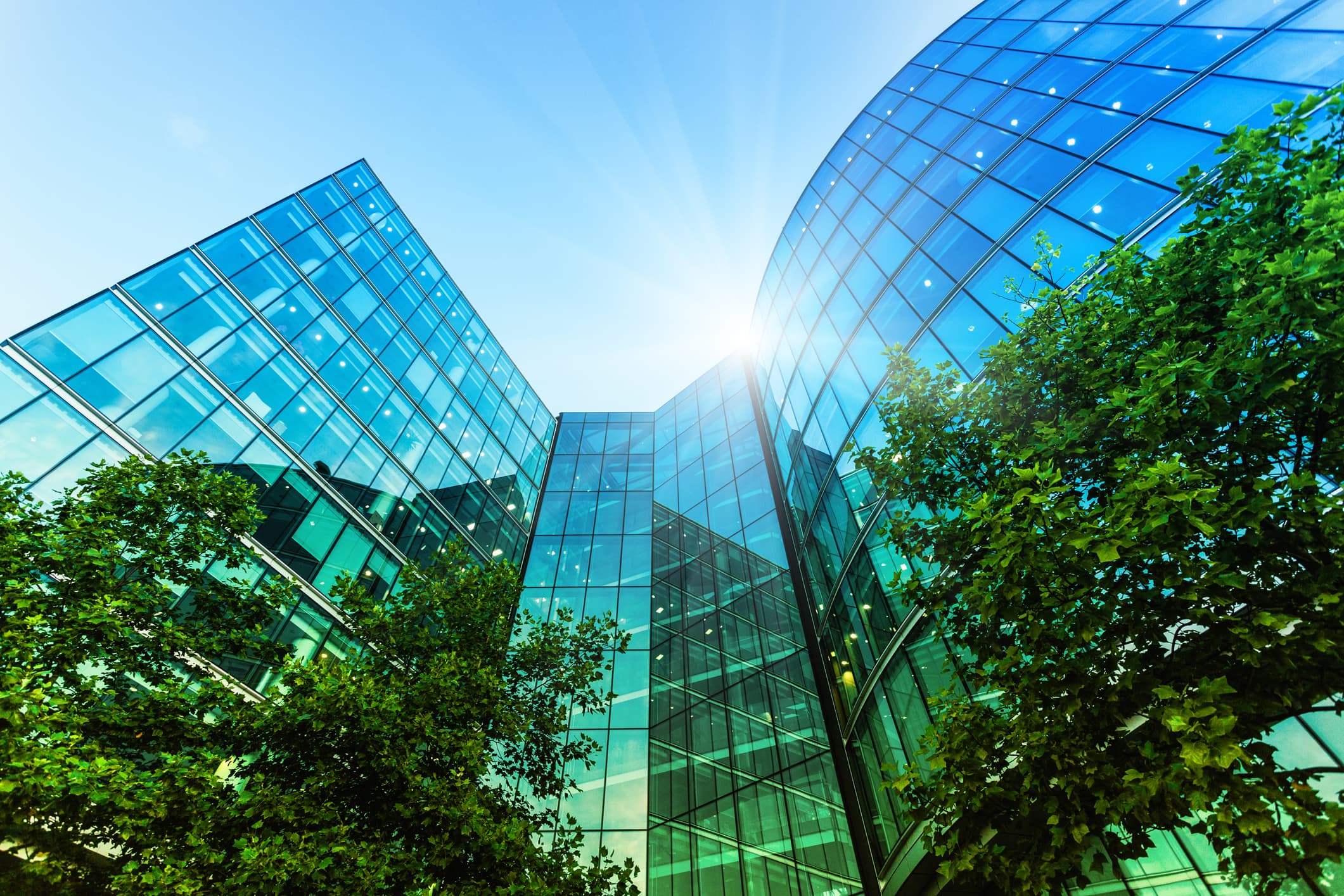 Modern office building with window film